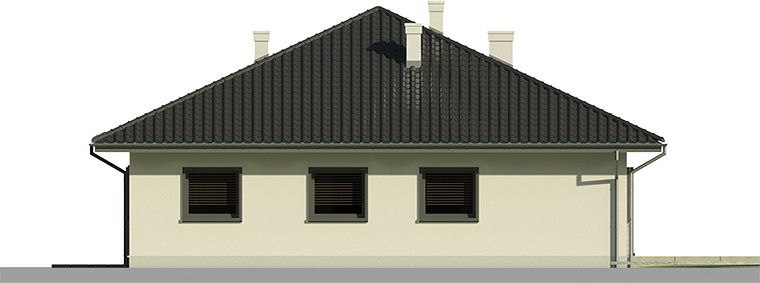 Фасад дома DFI-9776-99 Фасад дома DFI-9776-99