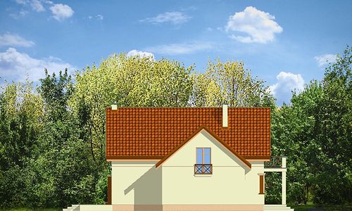 Фасад дома BEG-3279-49 Фасад дома BEG-3279-49