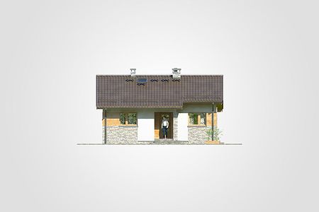 Фасад дома BKG-8972-21 Фасад дома BKG-8972-21